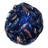 Mussels live grown rope* 1kg