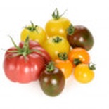 Coloured Tomatoes 1kg
