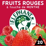 Elephant infusion red fruits x 20 sachets 40g