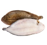 Dover sole 330-390gr*