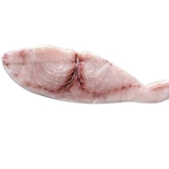 Swordfish Loin Whole Fresh Fish