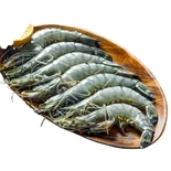 Head On Shell On Black Tiger Prawns 700g