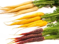 Mixed Coloured Carrots France 2kg