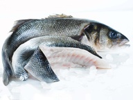 Bass whole wild 1-2kg