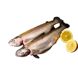 Fresh Rainbow Trout 500g