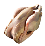 Free Range Black Chicken Halal Label Rouge Grand Domaine Ready To Cook 1.7kg