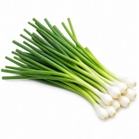 Spring Onion Bunch
