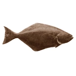 Halibut head on fish 4kg+