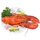 Whole Cooked Lobster 325g