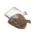 Brill whole 1-2kg