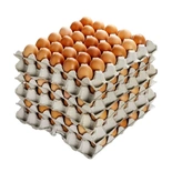 180 Large Size Eggs