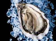 Oysters “Ostre’Or” (Normandie) large size N2x48