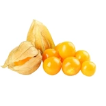 Physalis 100g