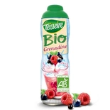 Teisseire Organic Grenadine Syrup (cordial) 60cl