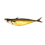 Ambersea Cold Smoked Gutted Mackerel 280g
