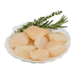 Scallop MSC 20/30 Canada Frozen at sea