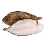 Dover sole 330-390gr