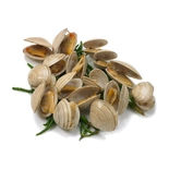 Clams live* 1kg