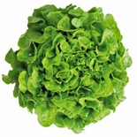 Blonde Oak Leaf Lettuce (Each)
