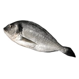 Whole Sea Bream not prepared 500g
