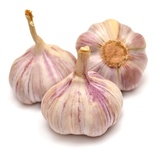 Pink Garlic Lautrec France 1kg