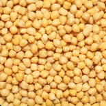 Perello Lechoso Chickpeas 700g