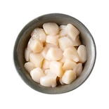 Scallop meat roeless queen pack fish