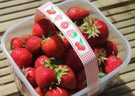 Strawberry France 500g