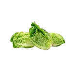 Little Gems lettuce x3