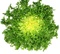 Frisee Salad each 200g