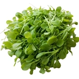 Watercress 150g
