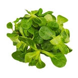 Lamb's Lettuce Sachet 200g