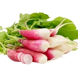 Radish Bunch