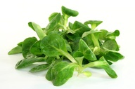 Lambs Lettuce Salad France 1kg