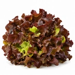 Fresh Red Oak Leaf Lettuce Each