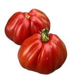 Beef's Heart Tomatoes x2