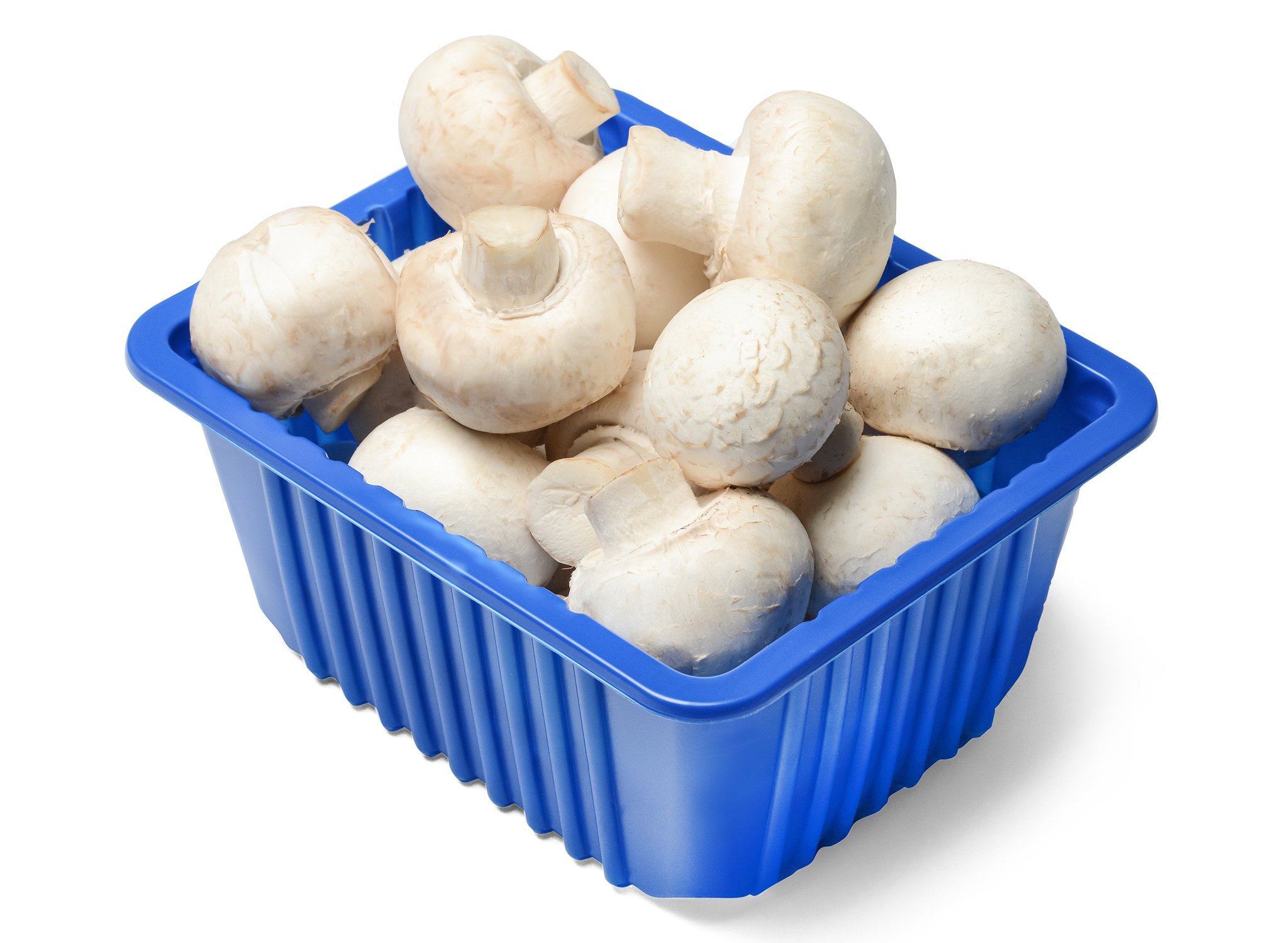 Mushroom punnet 500g