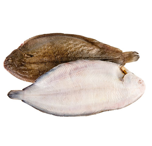 Dover sole 390-450gr*