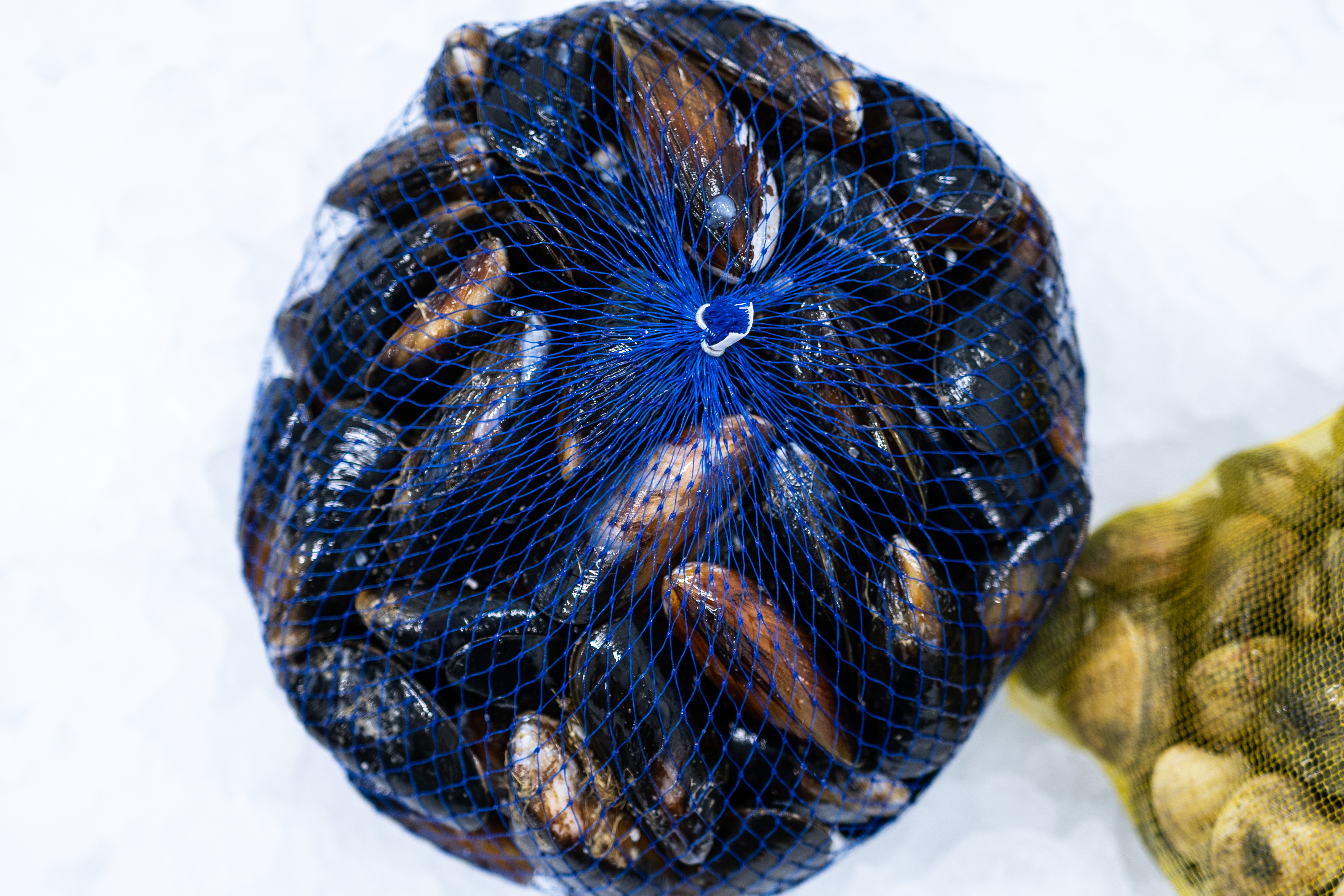 Mussels live grown rope* 1kg