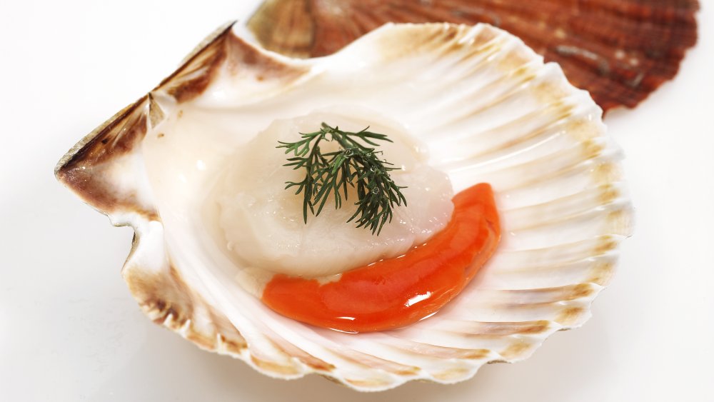 Scallop Live In Shell Large each