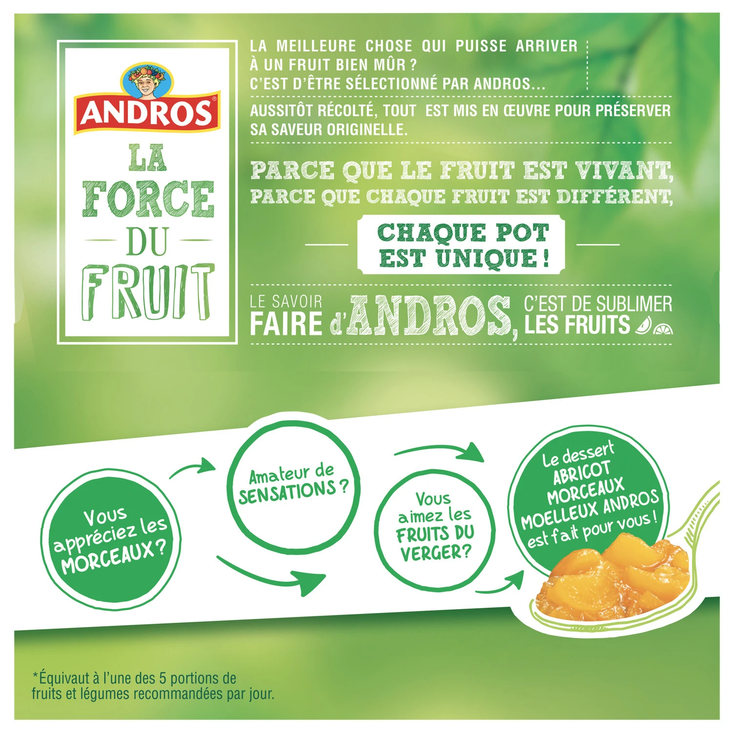 Andros Plain apple with bits 4x100g