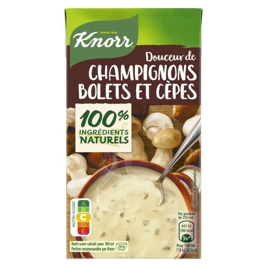 Knorr Mushrooms soup with Bolets Porcini Mushrooms