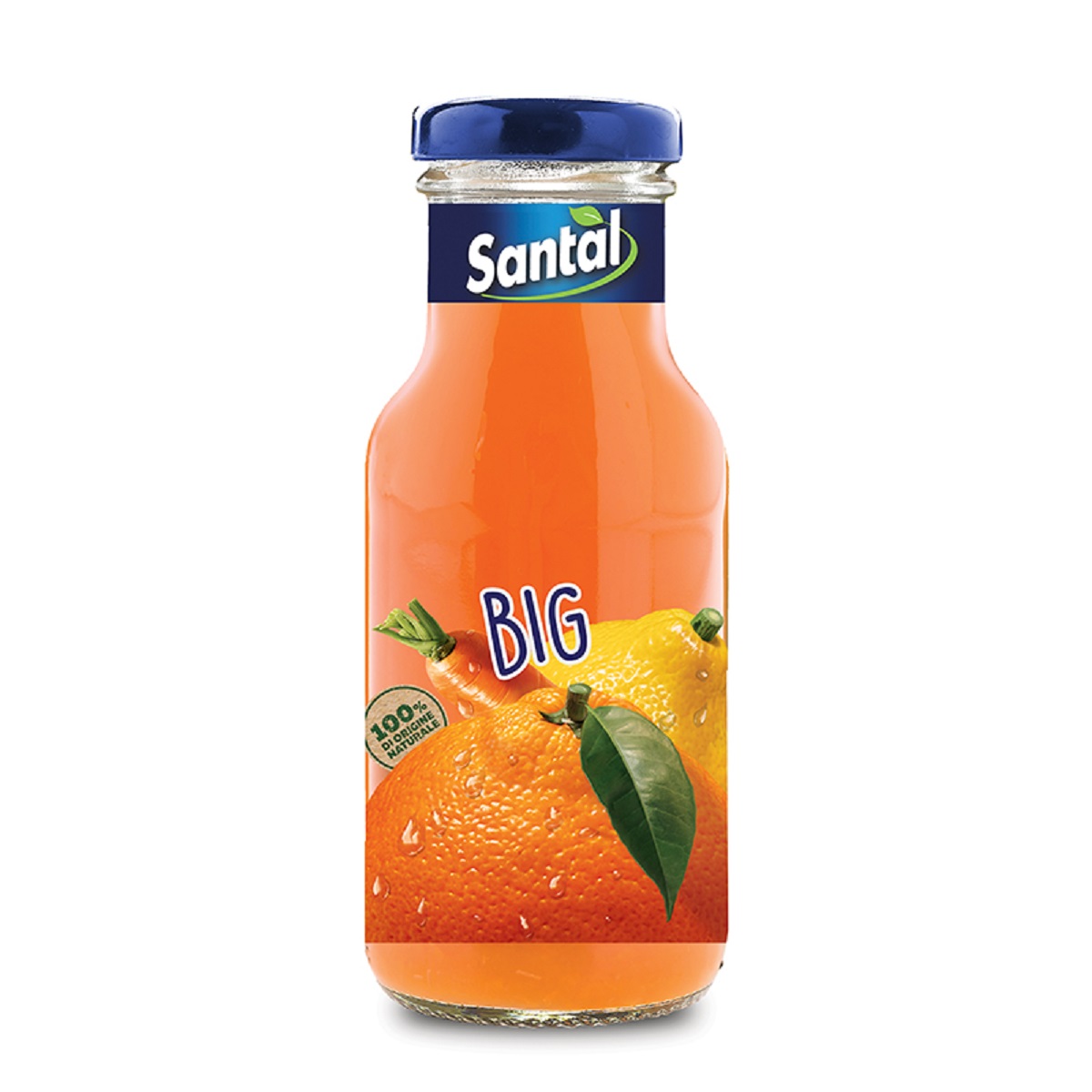 Santal ACE Juice 250ml
