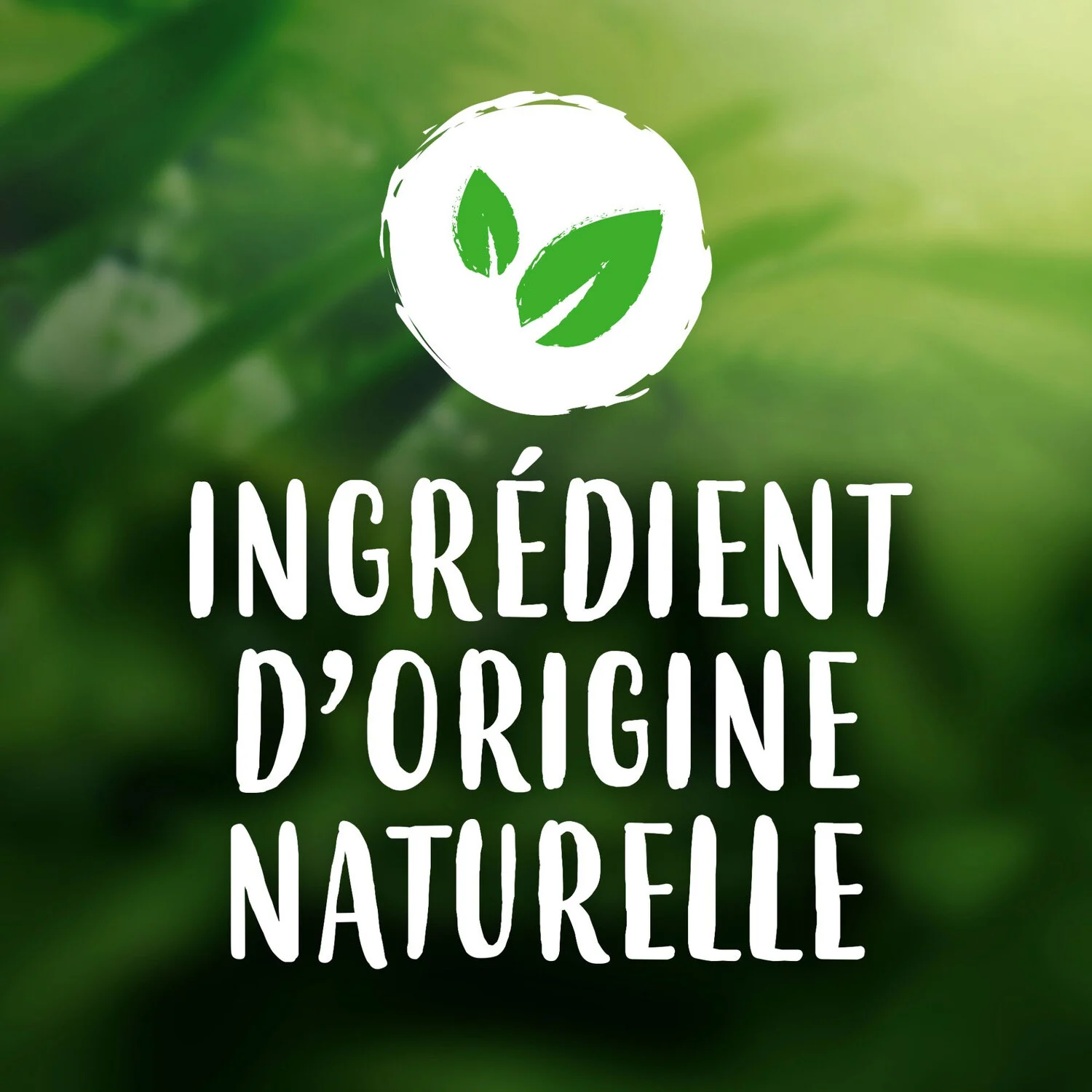 Ushuaia Spray deodorant Vanilla 200ml