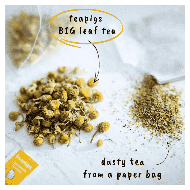 Teapigs Chamomile Flowers Tea 15s 30g