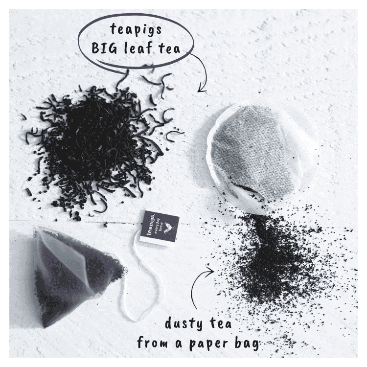 Teapigs Everyday Brew Tea 15s 30g