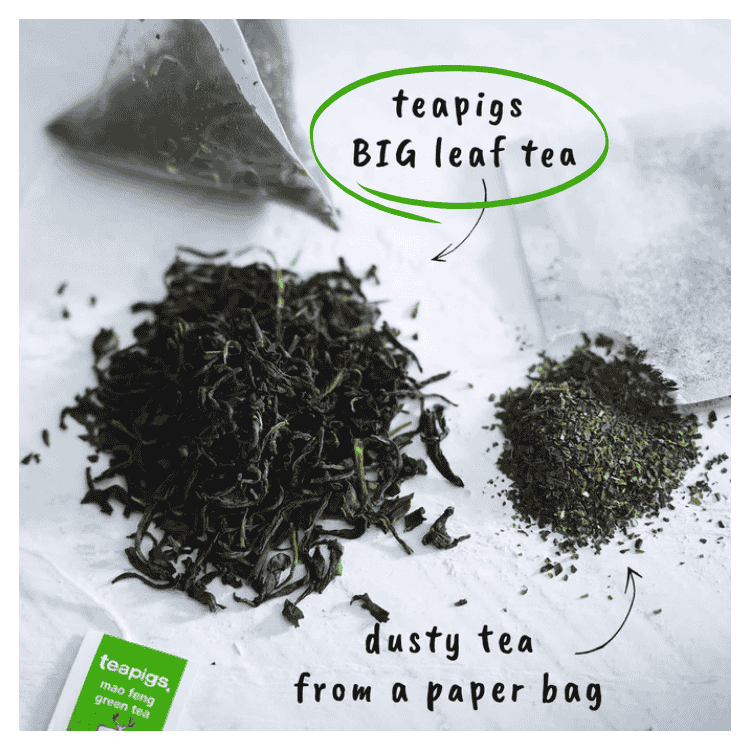 Teapigs Mao Feng Green Tea 15s 30g