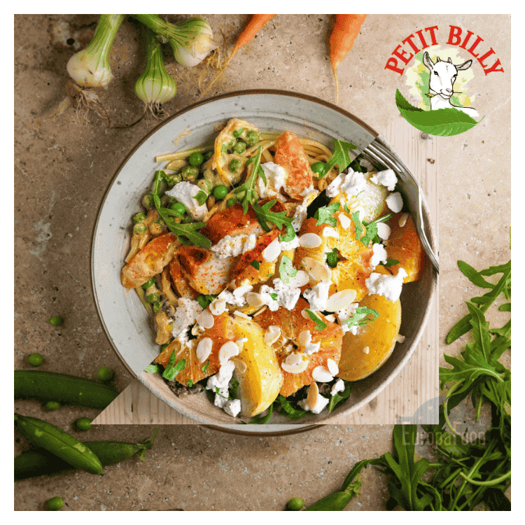 Triballat Petit Billy Goat's Cheese 200g
