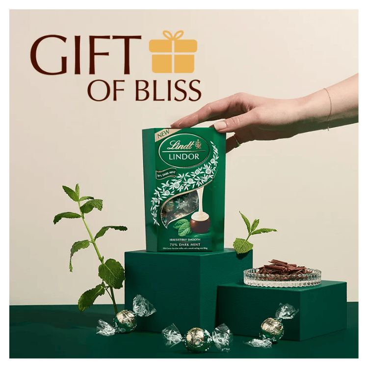 Lindt Lindor Dark Mint Chocolate Truffles 220g