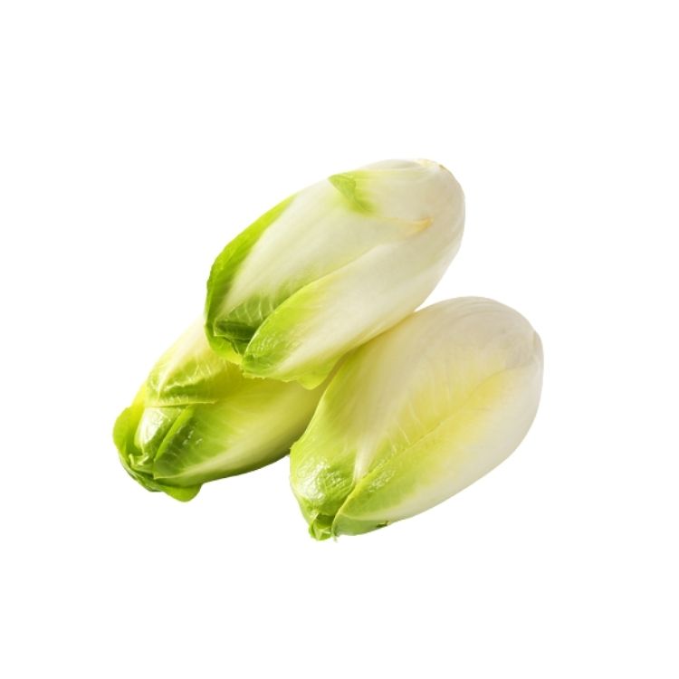 Chicory Organic Sachet 300g